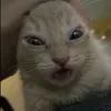 dun.ahn
