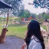 xuy1204