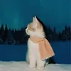 nnghiicutie