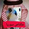user4272607283424