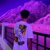 qss_f