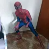 spider_martins