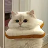 jayv712