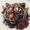 mamdoohmarhoon5