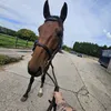 beckyhomeeducation