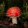 amanitamuscarinas