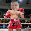 teep212
