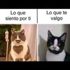deslenguadoysintapujos
