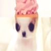 nyweenie