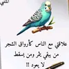 user31390888