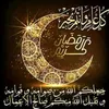 mohamedboucena
