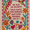 cincun14_