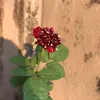 mai.hng8405