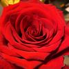user8228001871944