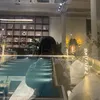 Ram nè