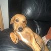 joe_1347373
