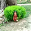 prikshya