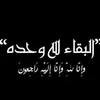 user952519140