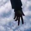koalaa_fs