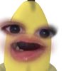 sarvz