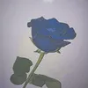 __momo__2