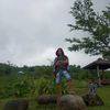 antokbintangaria