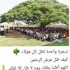 user1657777745718