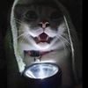 wilma_fingerdoo21