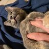 loveandacceptance