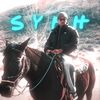 syph.ae