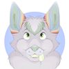 Kit Fox