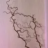 viktoria.um.walid
