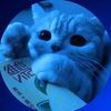 loadingcircle45