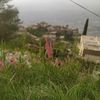 mazen735558