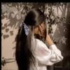lin_a023