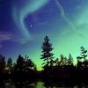 treenightlight007