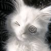 jimmy_yoe