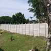collingovender7