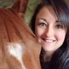 J&W Horses