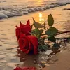 userqr8yslpcop