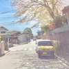 nagi’s Japan Travel