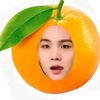 armygir401