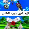 dhalmideeye
