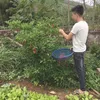 qquang19g1