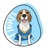 finnyxthebeagle