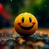 alikhan776353