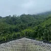 rumahpulang21