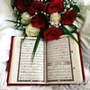 user611348860