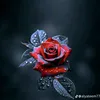 10_aas_