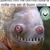 ceresceri